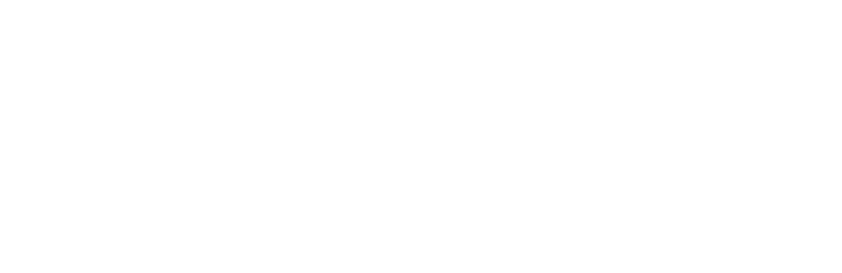 vf-logo-trans.png